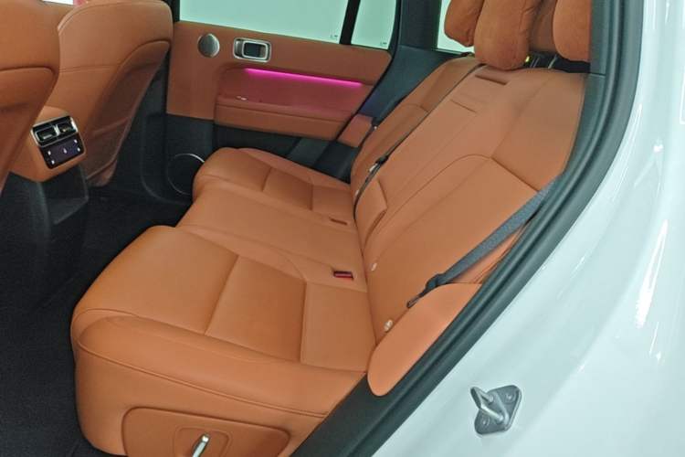 Used Li Auto L6 2024 Pro Model Left Rear Seat