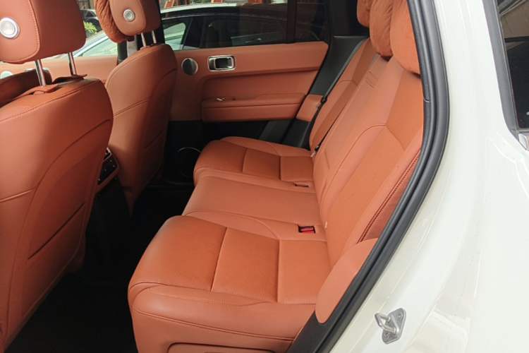 Used Li Auto L6 2024 Max Left Rear Seat