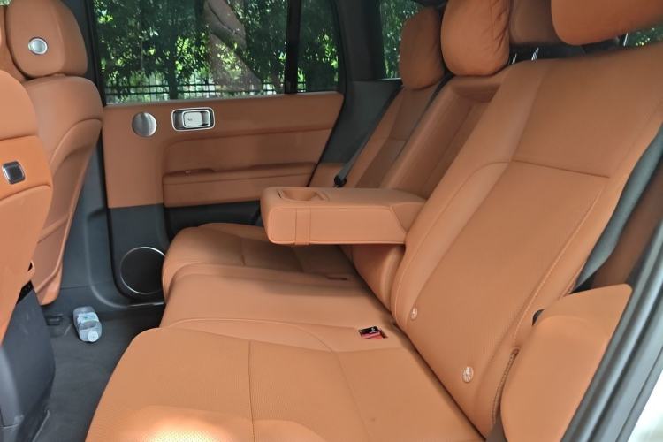 Used Li Auto L6 2024 Max Left Rear Seat