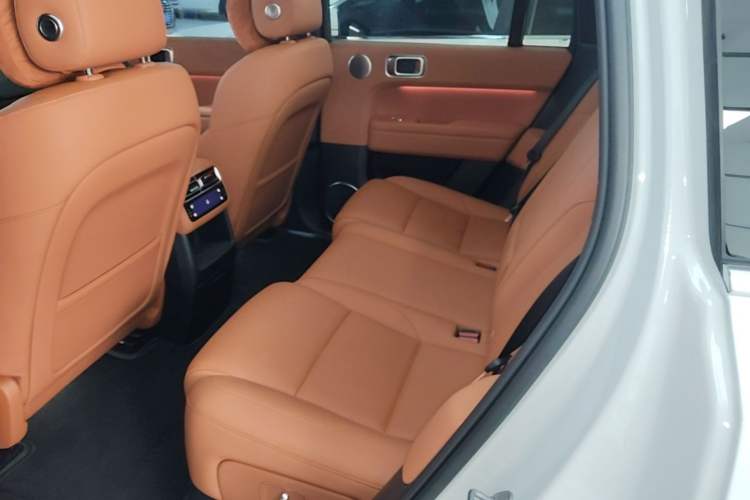 Used Li Auto L6 2024 Pro Model Left Rear Seat