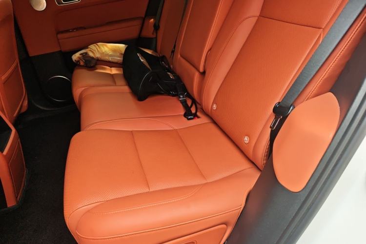 Used Li Auto L6 2024 Pro Model Left Rear Seat