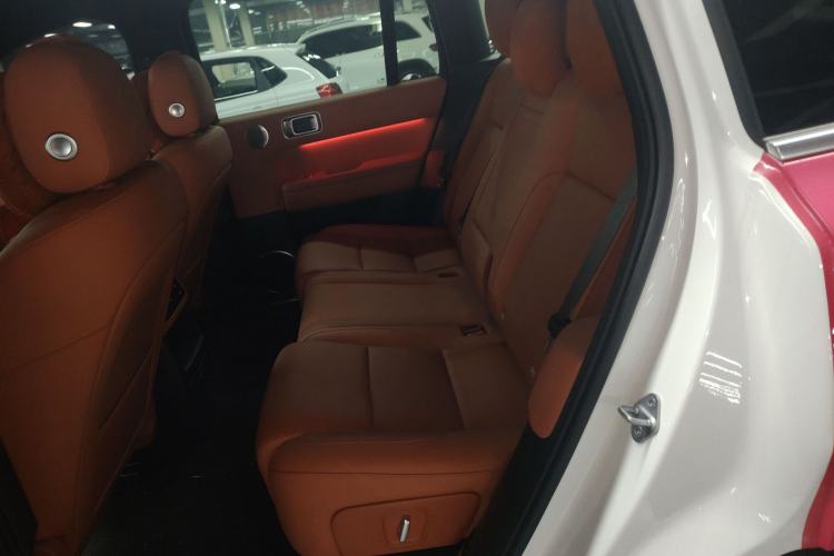 Used Li Auto L6 2024 Pro Model Left Rear Seat