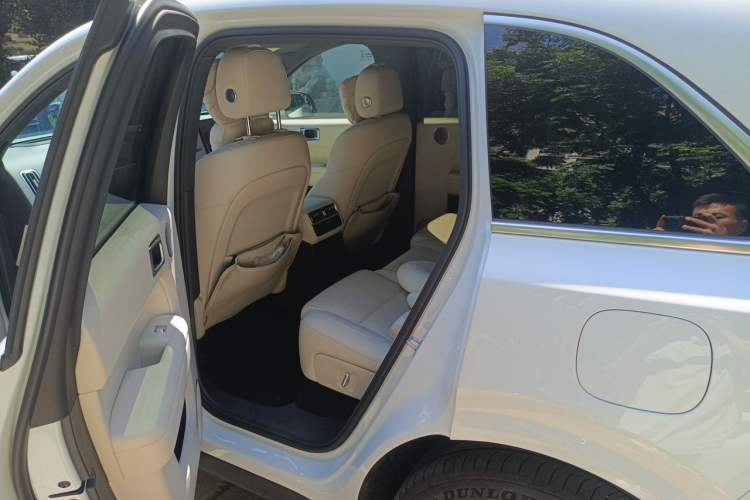 Used Li Auto L6 2024 Max Left Rear Seat