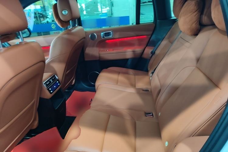 Used Li Auto L6 2024 Pro Model Left Rear Seat