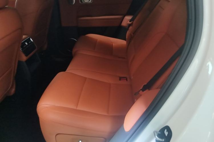 Used Li Auto L6 2024 Pro Model Left Rear Seat