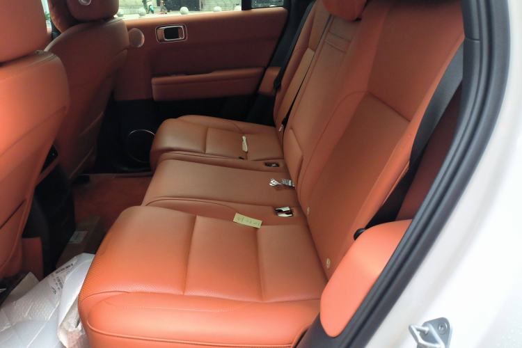 Used Li Auto L6 2024 Pro Model Left Rear Seat