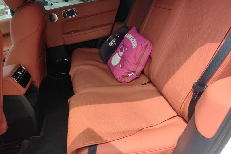 Used Li Auto L6 2024 Pro Model Left Rear Seat