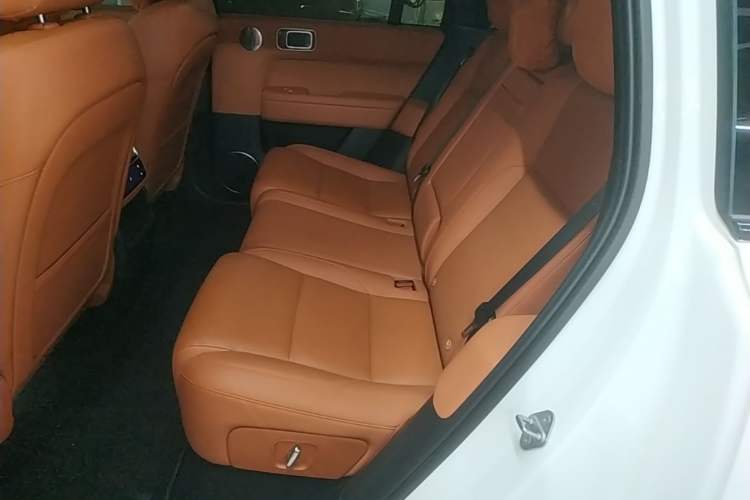 Used Li Auto L6 2024 Pro Model Left Rear Seat