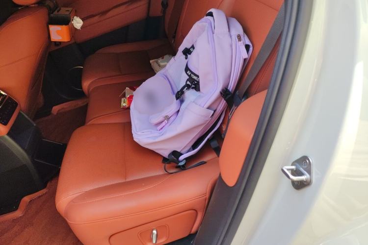 Used Li Auto L6 2024 Pro Model Left Rear Seat