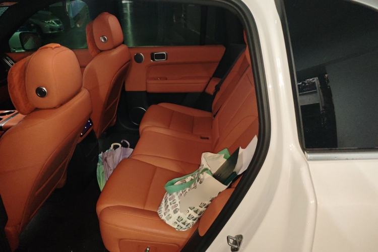 Used Li Auto L6 2024 Pro Model Left Rear Seat