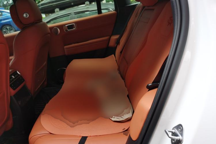 Used Li Auto L6 2024 Pro Model Left Rear Seat