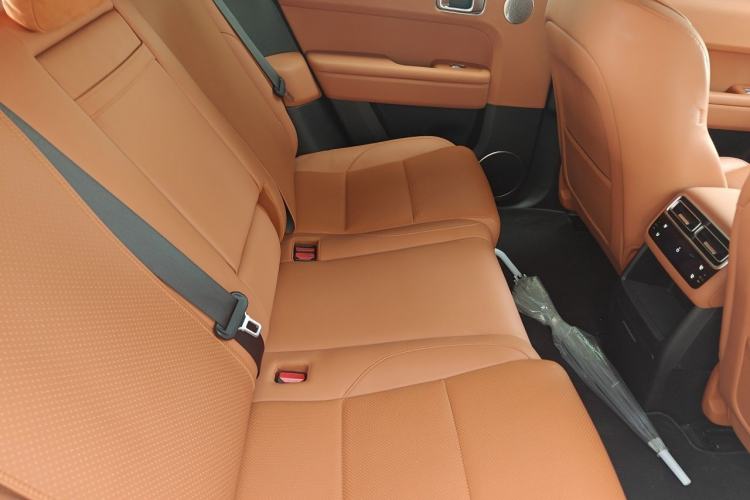 Used Li Auto L6 2024 Pro Model Left Rear Seat
