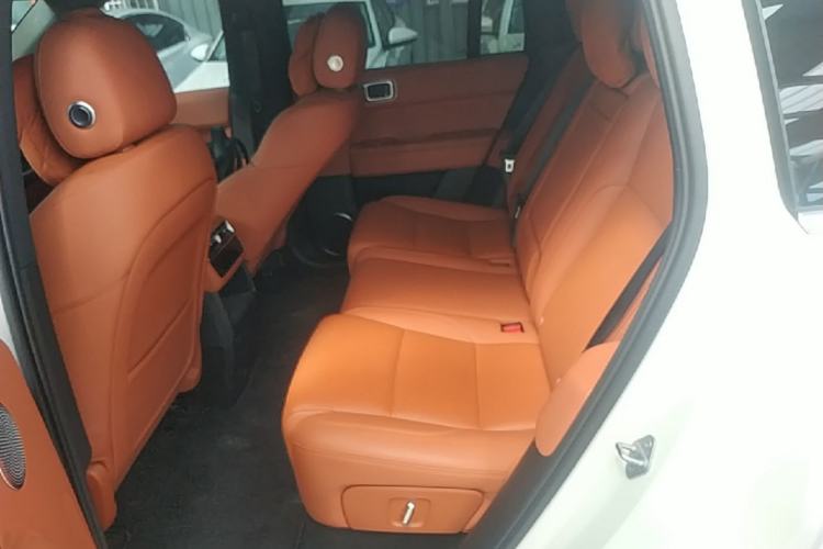 Used Li Auto L6 2024 Pro Model Left Rear Seat