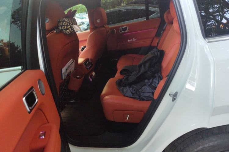 Used Li Auto L6 2024 Pro Model Left Rear Seat
