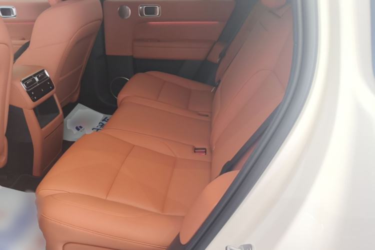 Used Li Auto L6 2024 Pro Model Left Rear Seat