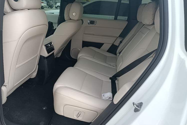 Used Li Auto L6 2024 Max Left Rear Seat