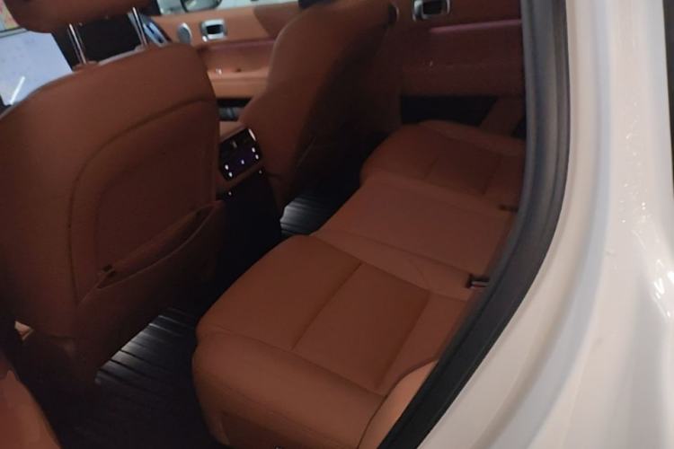 Used Li Auto L6 2024 Max Left Rear Seat