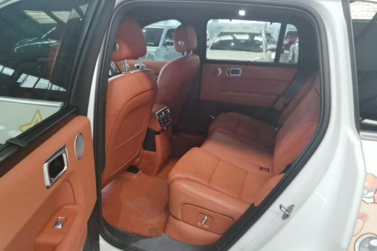 Used Li Auto L6 2024 Max Left Rear Seat