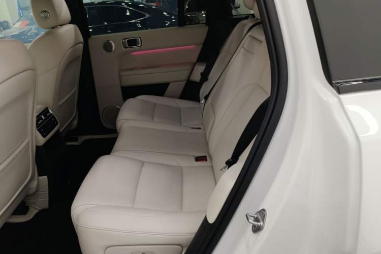 Used Li Auto L6 2024 Pro Model Left Rear Seat