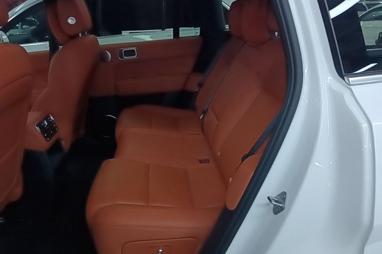 Used Li Auto L6 2024 Pro Model Left Rear Seat