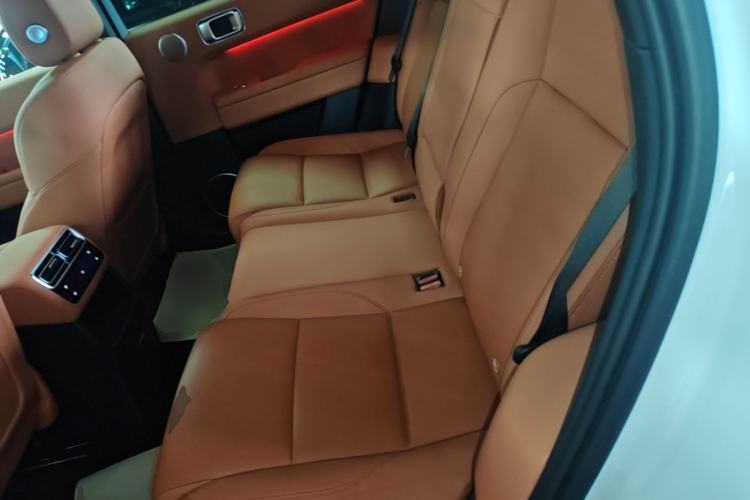 Used Li Auto L6 2024 Pro Model Left Rear Seat
