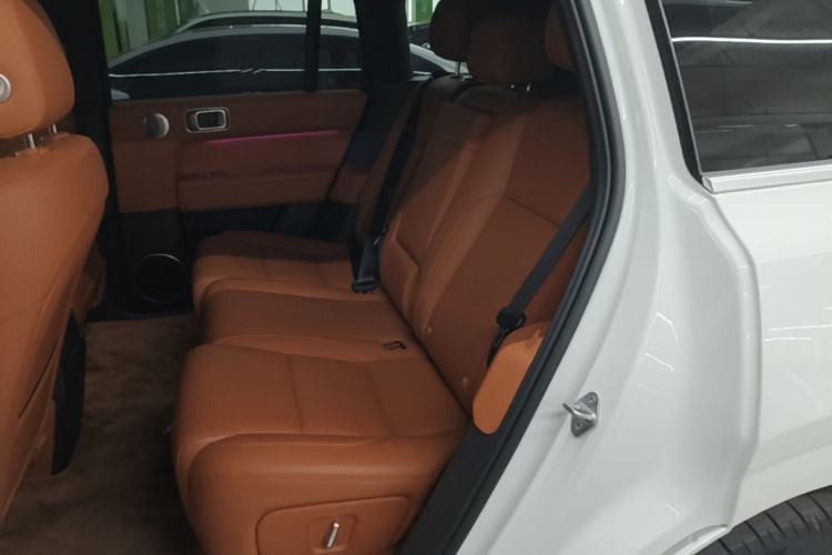 Used Li Auto L6 2024 Pro Model Left Rear Seat