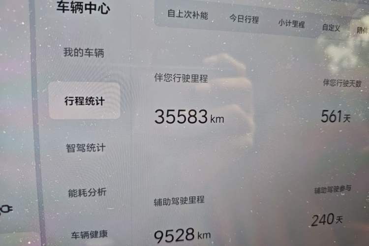 Used Li Auto L6 2024 Pro Model Odometer Close Up