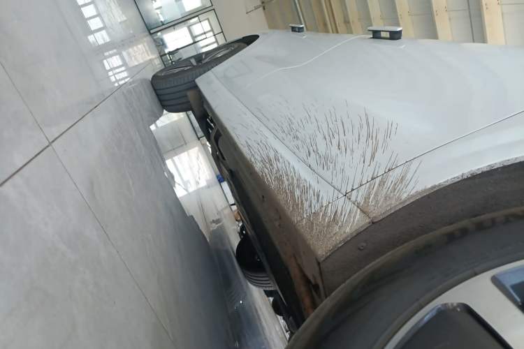 Used Li Auto L6 2024 Pro Model Right Side Sill