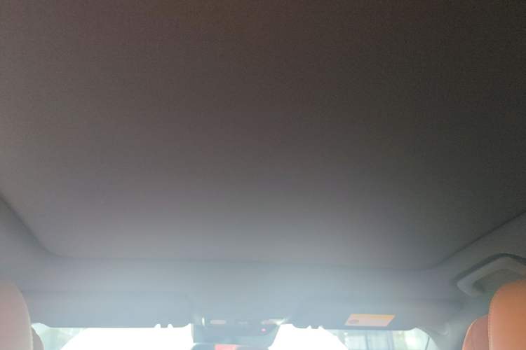 Used Li Auto L6 2024 Pro Model Headliner