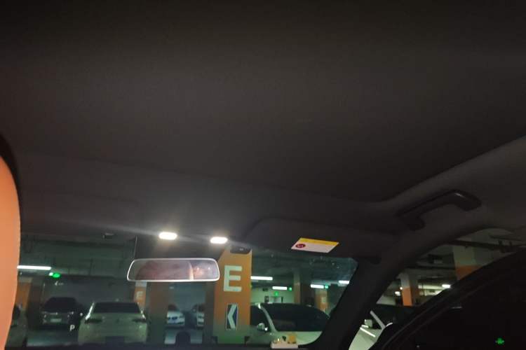 Used Li Auto L6 2025 Pro Smart Refresh Edition Headliner