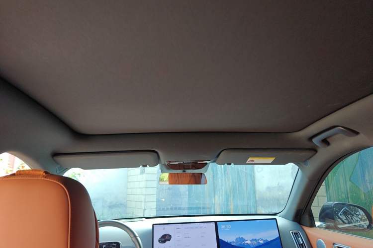 Used Li Auto L6 2025 Pro Smart Refresh Edition Headliner
