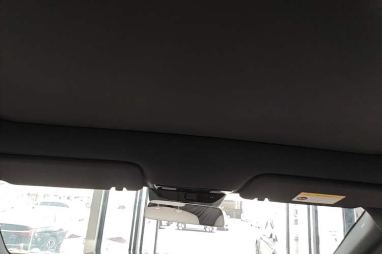 Used Li Auto L6 2025 Pro Smart Refresh Edition Headliner
