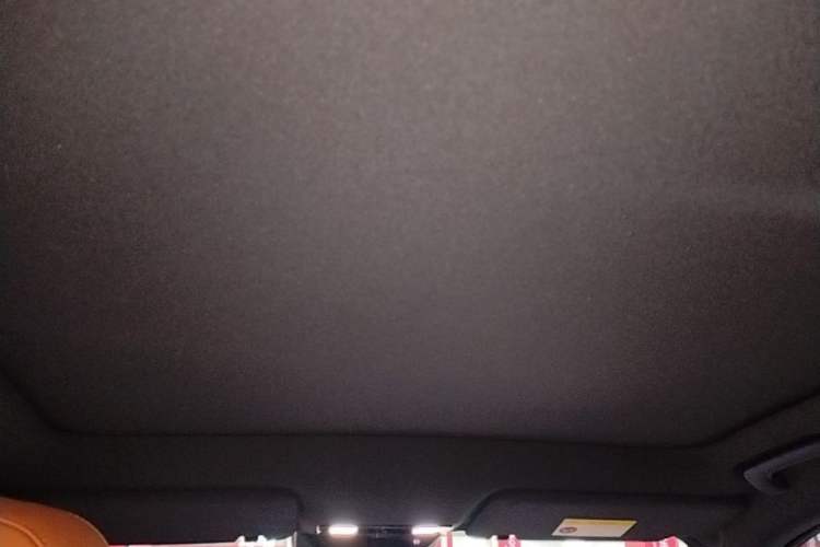 Used Li Auto L6 2025 Pro Smart Refresh Edition Headliner