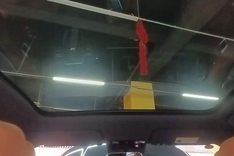Used Li Auto L6 2025 Pro Smart Refresh Edition Headliner