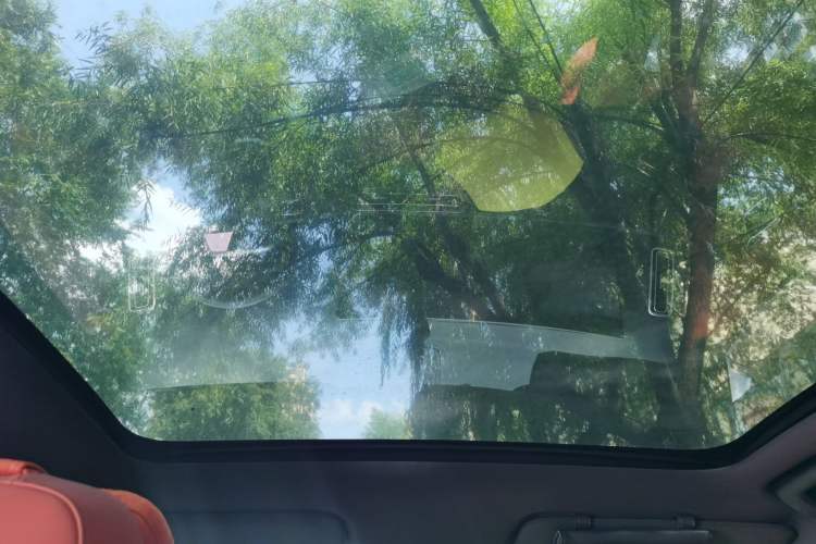 Used Li Auto L6 2025 Max Smart Refresh Edition Headliner