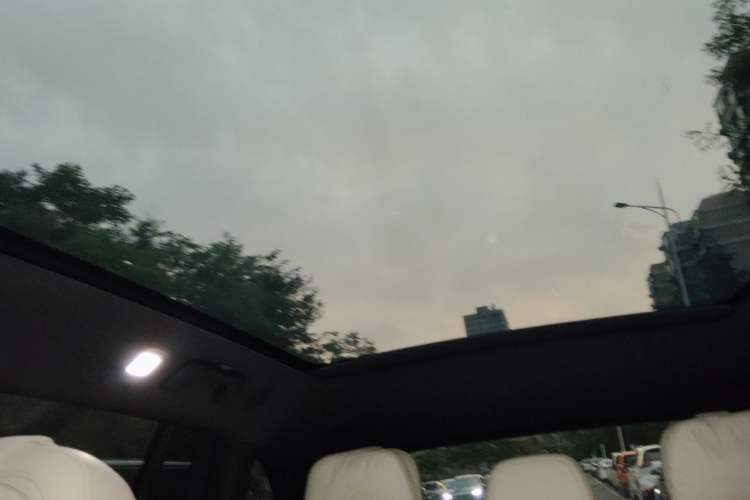 Used Li Auto L6 2025 Pro Smart Refresh Edition Headliner