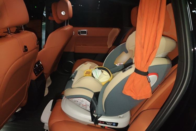 Used Li Auto L6 2025 Pro Smart Refresh Edition Left Rear Seat