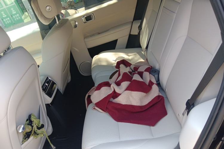 Used Li Auto L6 2025 Max Smart Refresh Edition Left Rear Seat