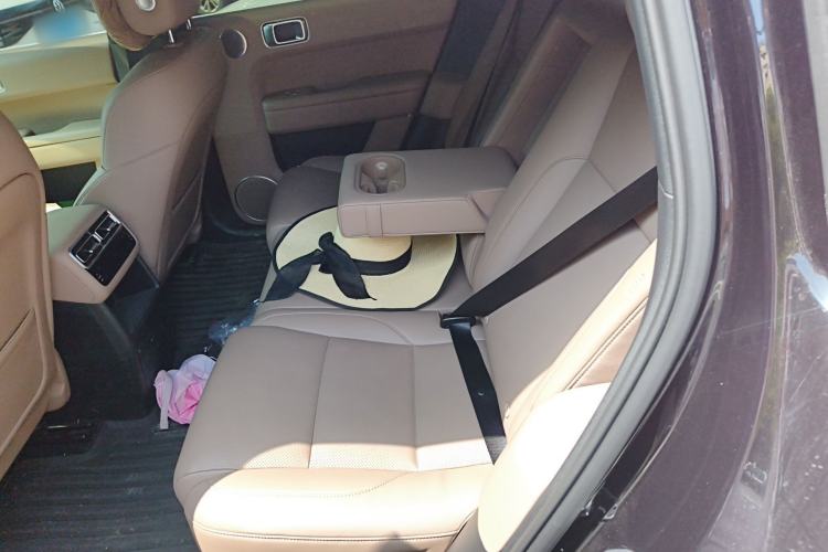 Used Li Auto L6 2025 Pro Smart Refresh Edition Left Rear Seat