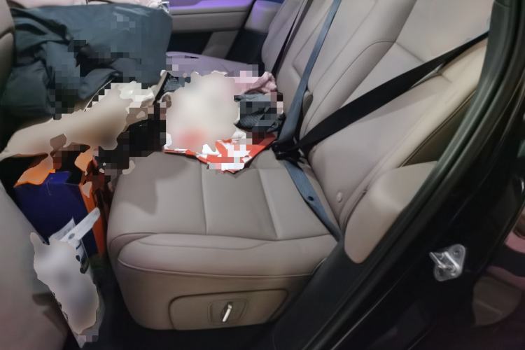 Used Li Auto L6 2025 Pro Smart Refresh Edition Left Rear Seat