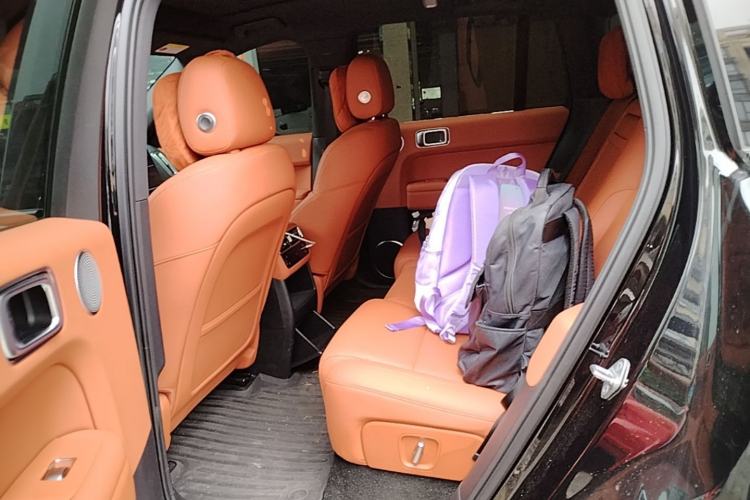 Used Li Auto L6 2025 Pro Smart Refresh Edition Left Rear Seat