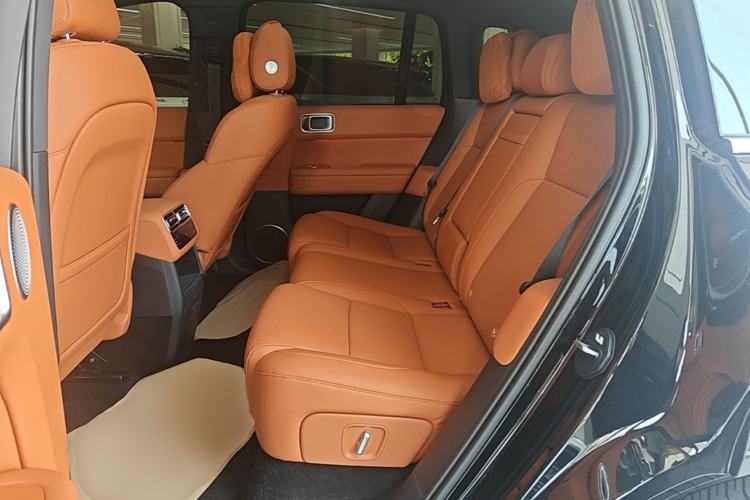 Used Li Auto L6 2025 Pro Smart Refresh Edition Left Rear Seat