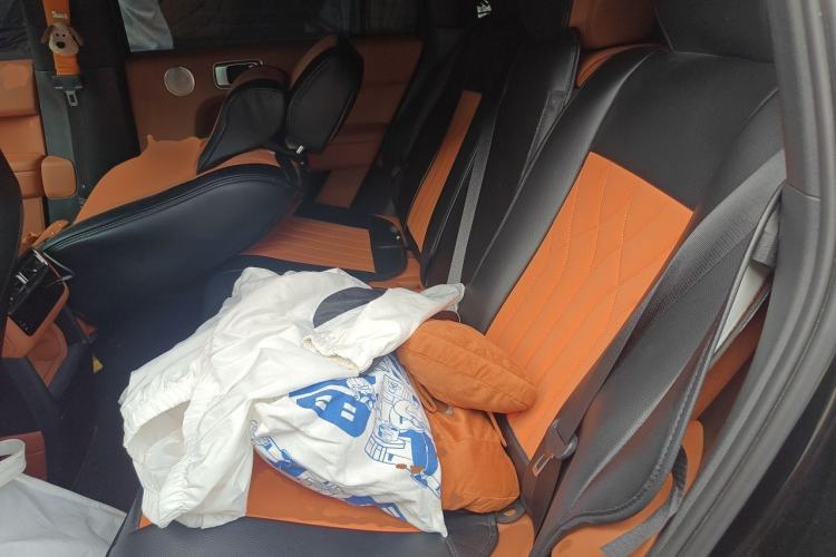 Used Li Auto L6 2025 Pro Smart Refresh Edition Left Rear Seat