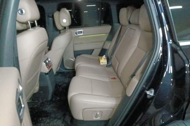 Used Li Auto L6 2025 Max Smart Refresh Edition Left Rear Seat