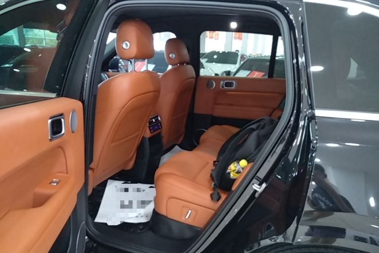 Used Li Auto L6 2025 Pro Smart Refresh Edition Left Rear Seat