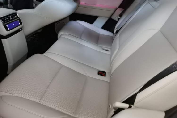 Used Li Auto L6 2025 Pro Smart Refresh Edition Left Rear Seat
