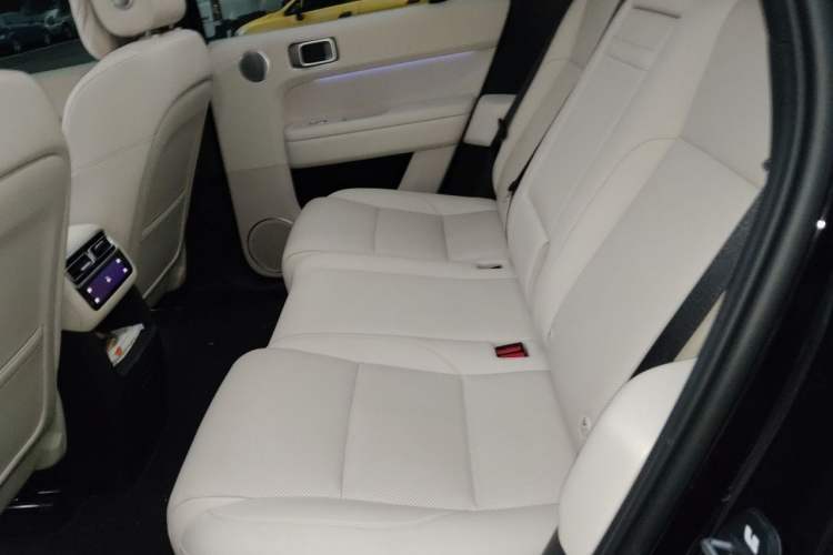Used Li Auto L6 2025 Pro Smart Refresh Edition Left Rear Seat