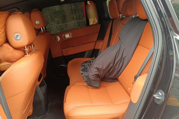 Used Li Auto L6 2025 Pro Smart Refresh Edition Left Rear Seat