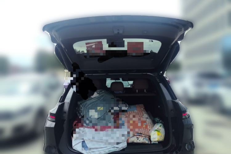 Used Li Auto L6 2025 Pro Smart Refresh Edition Trunk