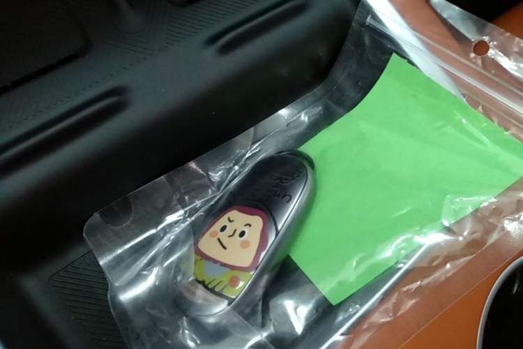 Used Li Auto L6 2025 Pro Smart Refresh Edition Vehicle Key